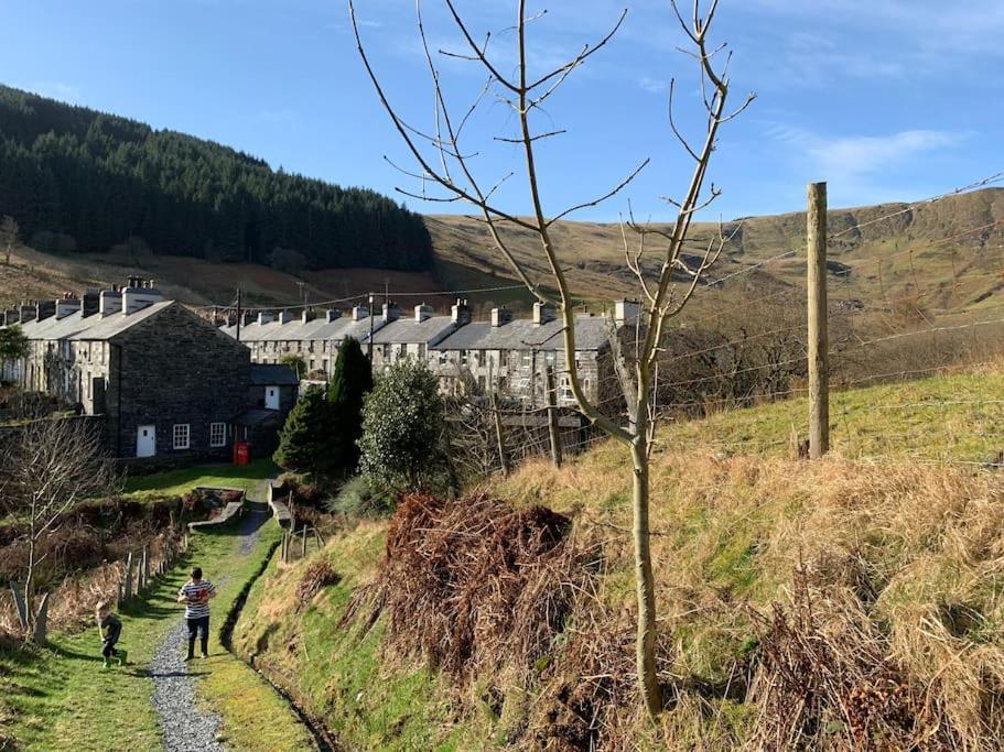 Yr Hen Siop - 4 Bed Welsh Cottage In Snowdonia Penmachno Εξωτερικό φωτογραφία